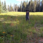 New Offerings + Life at Stargazer Ranch